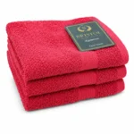 Bristol Guest Towel Burgundy 30x50cm – Burgundy Bristol Luxury Towels Egyptian guest towel sold individually