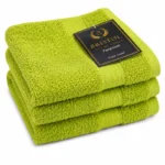 Bristol guest towel