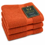 Bristol Guest Towel Rust 30x50cm – Rust Bristol Luxury Towels Egyptian guest towel sold individually